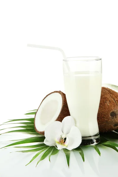 Noix de coco avec verre de lait, isolées sur blanc — Photo