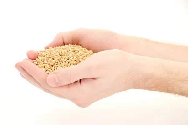 Manos de hombre con grano, aislado en blanco — Foto de Stock