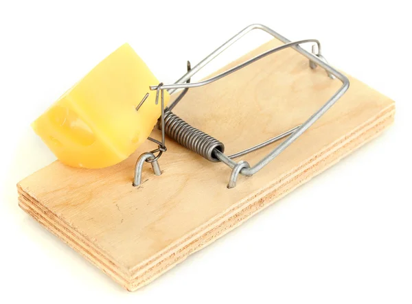 Mousetrap com queijo isolado em branco — Fotografia de Stock
