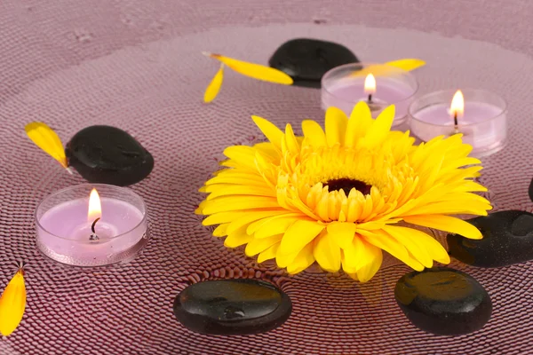 Piedras de spa con flores y velas en agua en el plato —  Fotos de Stock