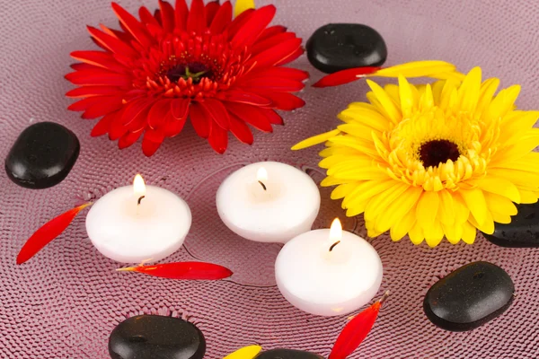 Pedras de spa com flores e velas em água na placa — Fotografia de Stock
