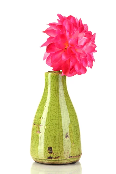 Decorative ceramic vase with pink flower isolated on white — Stock Photo, Image