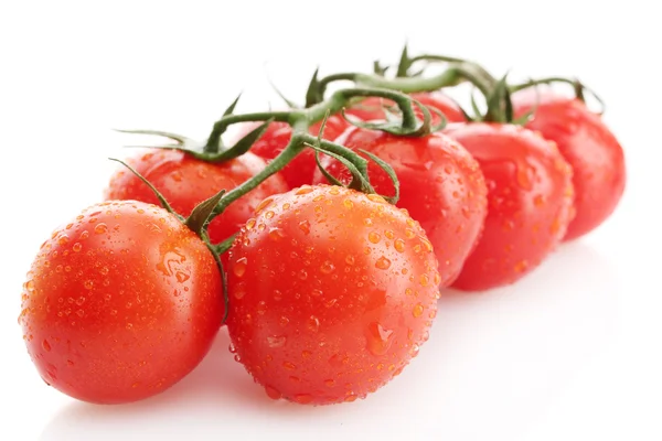 Tomates cerises sur une branche avec des gouttes isolées sur blanc — Photo