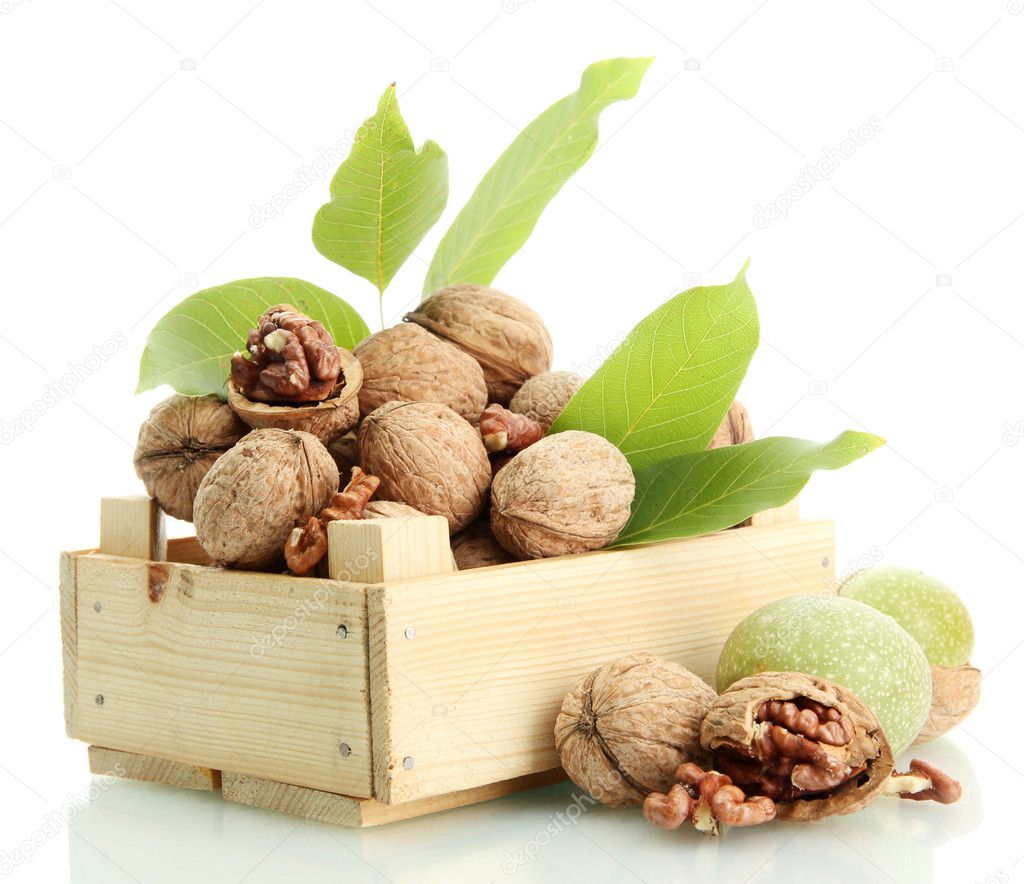 walnuts with green leaves in woooden crate, isolated on white