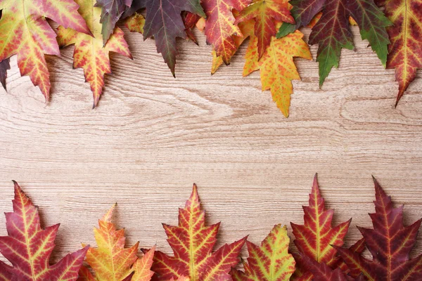 Ostré podzimní Javorové listy na dřevěné pozadí — Stock fotografie