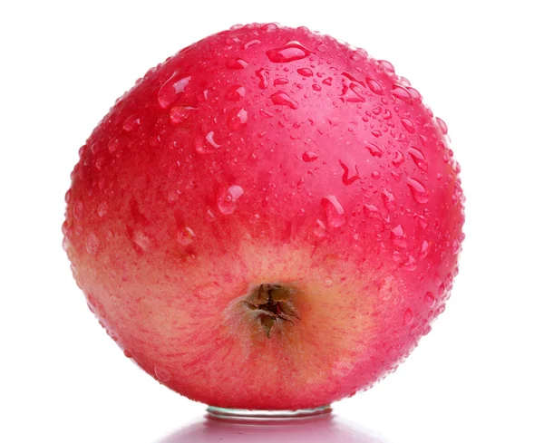 Manzana roja madura con gotas aisladas en blanco — Foto de Stock