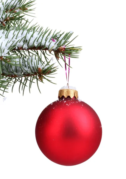 Bola de Natal na árvore isolada em branco — Fotografia de Stock