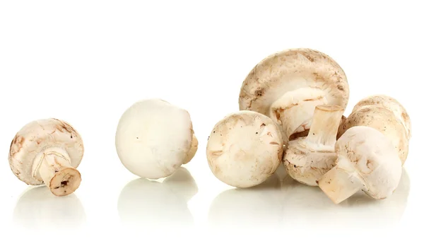 Fresh mushrooms isolated on white — Stock Photo, Image