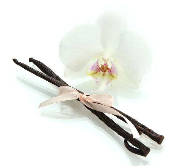 Vanilla pods with flower isolated on white — Stock Photo, Image