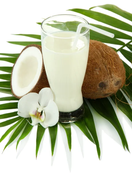 Cocos com copo de leite, isolados sobre branco — Fotografia de Stock
