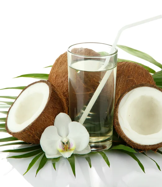 Noix de coco avec verre de lait, isolées sur blanc — Photo