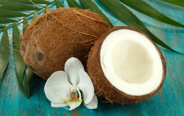 Noix de coco avec feuilles et fleurs, sur fond de bois bleu — Photo