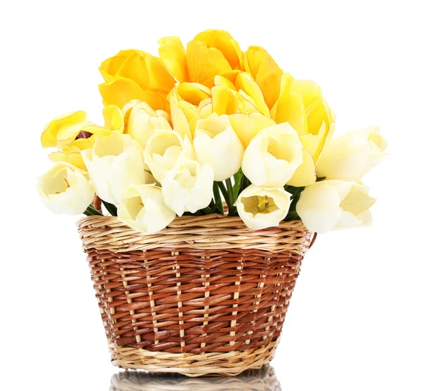 Beautiful tulips in basket isolated on white — Stock Photo, Image