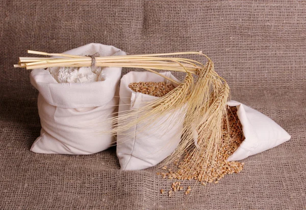 Flour and wheat grain on sackcloth — Stock Photo, Image