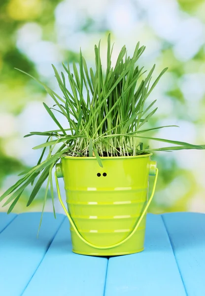 Green grass in bucket on wooden table on bright background — Stock Photo, Image