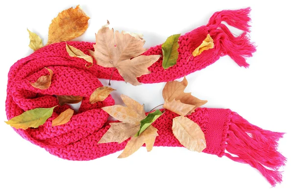 Warm gestrickter Schal rosa mit Herbstlaub isoliert auf weiß — Stockfoto