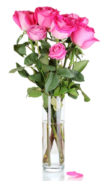 Schöne rosa Rosen in der Vase isoliert auf weiß — Stockfoto