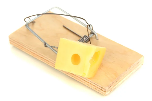 Mousetrap com queijo isolado em branco — Fotografia de Stock