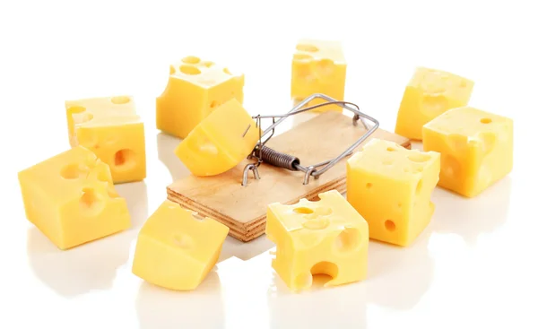 ネズミ捕りを白で隔離されるチーズ — ストック写真