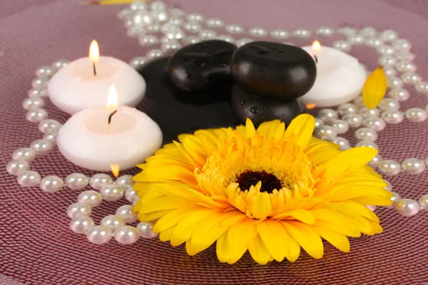 Piedras de spa con flores y velas en agua en el plato —  Fotos de Stock