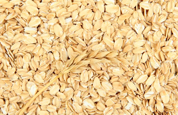 Oat flakes texture of close up — Stock Photo, Image