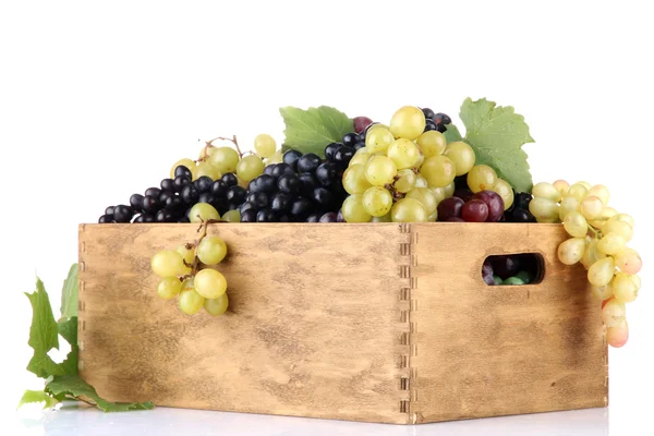 成熟的甜葡萄在木箱，孤立的白色衬底上的分类 — 图库照片
