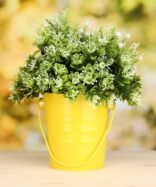 Decoratieve bloemen in pot op lichte achtergrond — Stockfoto