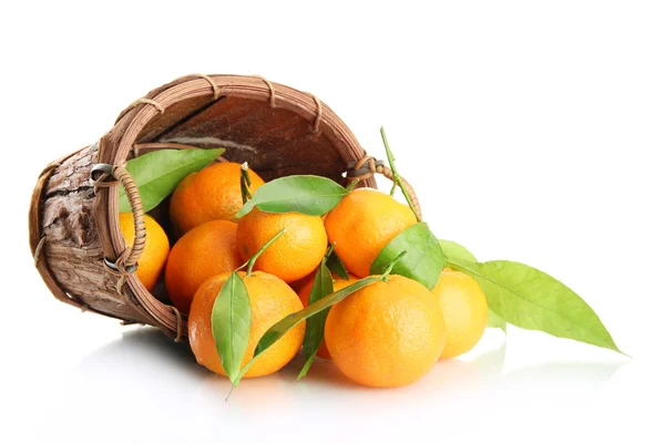 Ripe sweet tangerine with leaves in basket, isolated on white — Stock Photo, Image