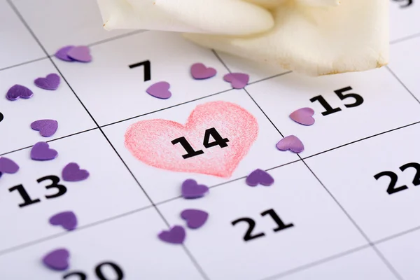 Note sul calendario (giorno di San Valentino) e rosa, primo piano — Foto Stock
