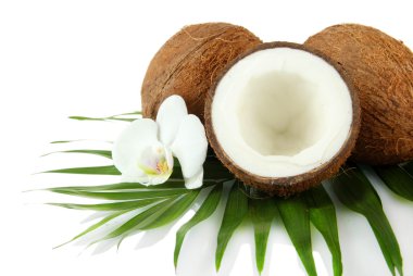 Coconuts with leaves and flower, isolated on white clipart