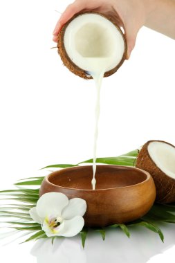 Coconut with coconut milk and leaves, isolated on white clipart