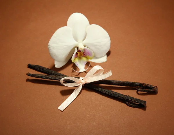 Vainas de vainilla con flor, sobre fondo marrón — Foto de Stock