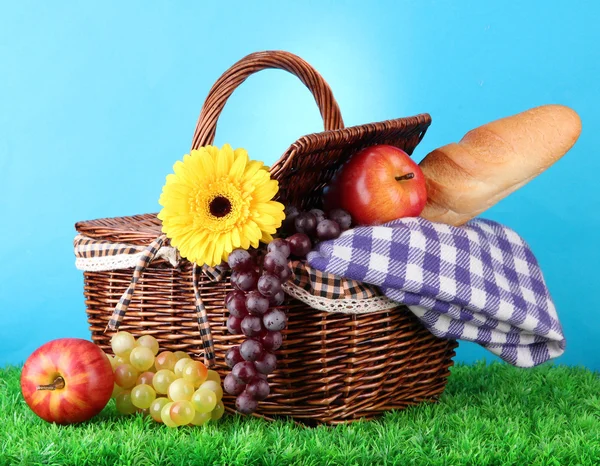Picnic basket and tableware on grass on blue background — Stock Photo, Image