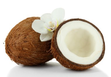 Coconuts with flower, isolated on white clipart