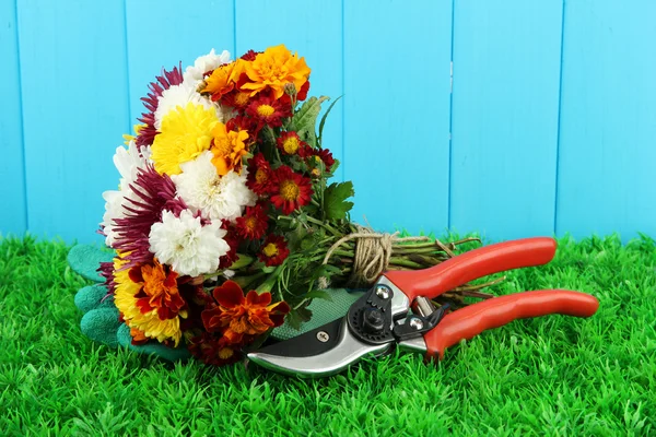 Sécateurs avec des fleurs sur fond en bois — Photo