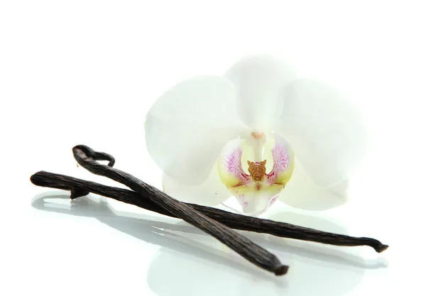 Vanilla pods with flower isolated on white — Stock Photo, Image