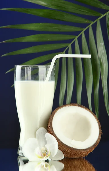 Noix de coco avec verre de lait, sur fond bleu — Photo