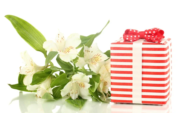 Подарункова коробка і квіти ізольовані на білому — стокове фото