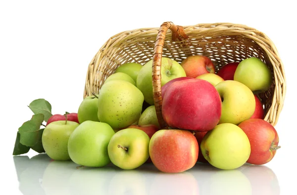 Juicy apples with green leaves in basket, isolated on white — Stock Photo, Image