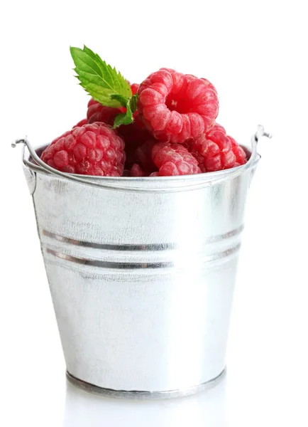 与薄荷桶装，白色上孤立的成熟莓 — 图库照片
