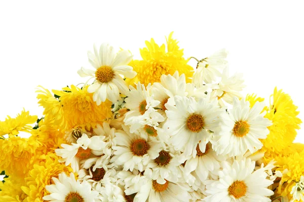 Ramo de hermosas flores de margaritas, aisladas en blanco — Foto de Stock