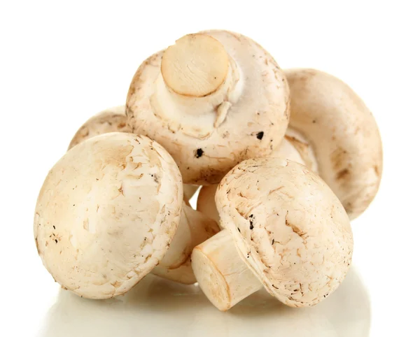 Fresh mushrooms isolated on white — Stock Photo, Image