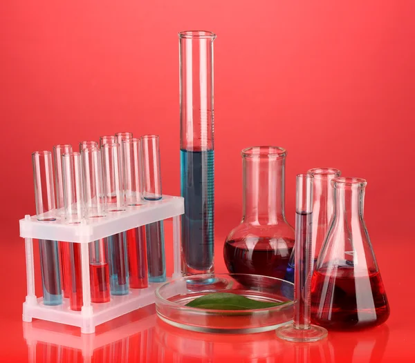 Test-tubes and green leaf tested in petri dish, on color background — Stock Photo, Image