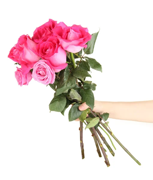 Beautiful pink roses in hand isolated on white — Stock Photo, Image