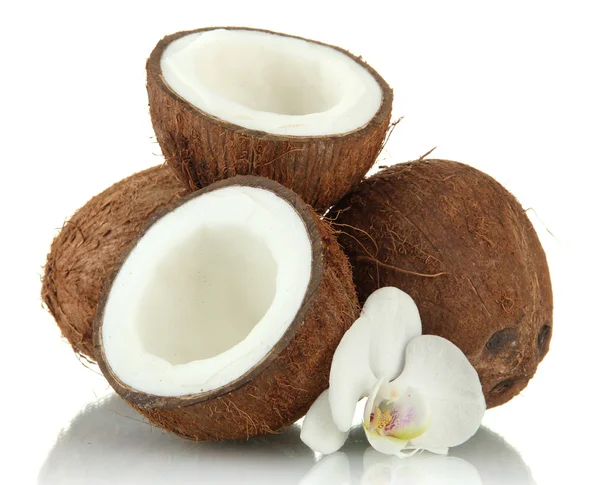 Kokosnødder med blomst, isoleret på hvid - Stock-foto