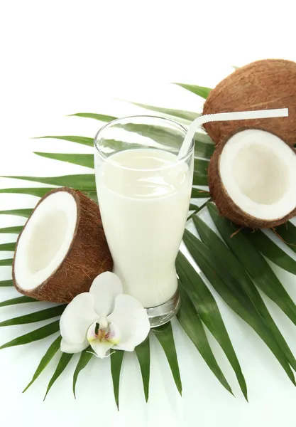 Noix de coco avec verre de lait, isolées sur blanc — Photo