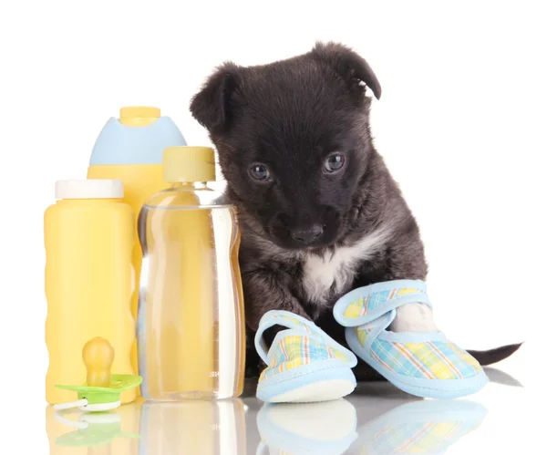 Cute puppy in blue baby booties isolated on white — Stock Photo, Image