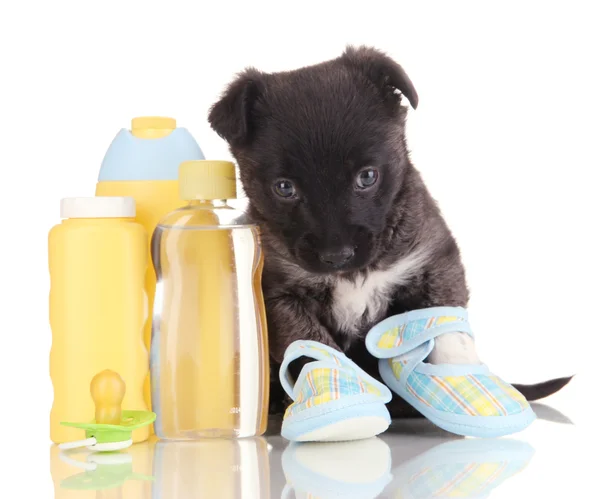 Schattige puppy in blue baby slofjes geïsoleerd op wit — Stockfoto