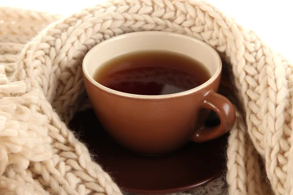 Taza de té con bufanda de cerca —  Fotos de Stock