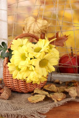 çiçek sepeti ve yaprakları parlak zemin ile sonbahar kompozisyon